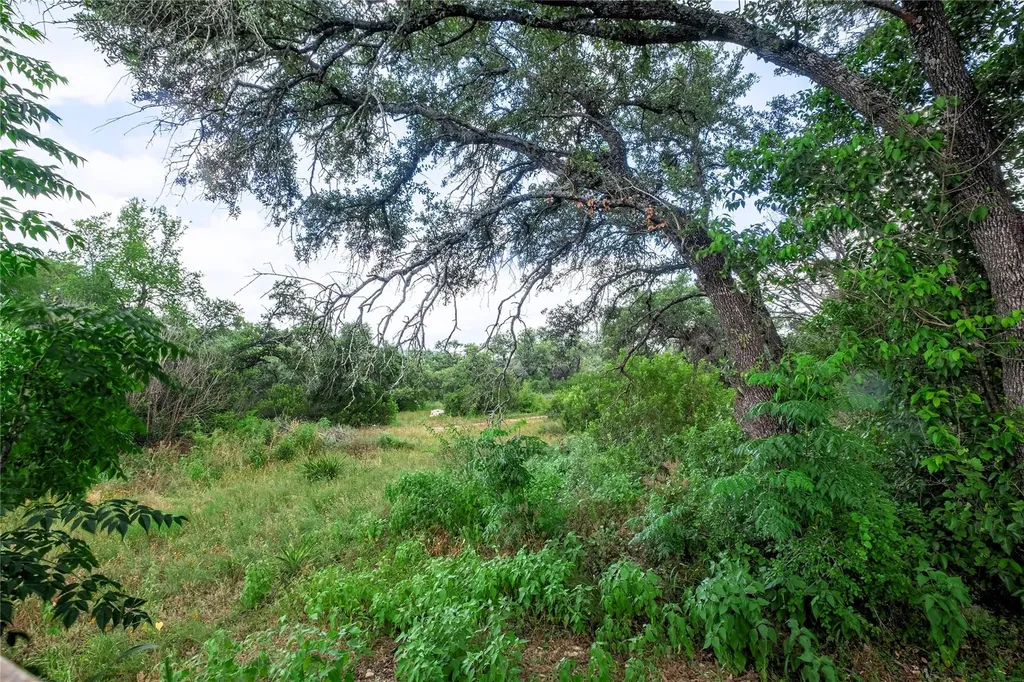 10502 W Lakeview Drive Jonestown TX 78645