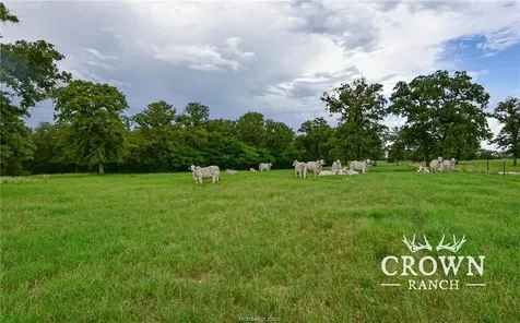 Tbd Fm 908 (+/-1, 057 Acres) Caldwell TX 77836