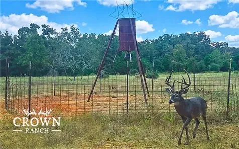 Tbd Fm 908 (+/-1, 057 Acres) Caldwell TX 77836