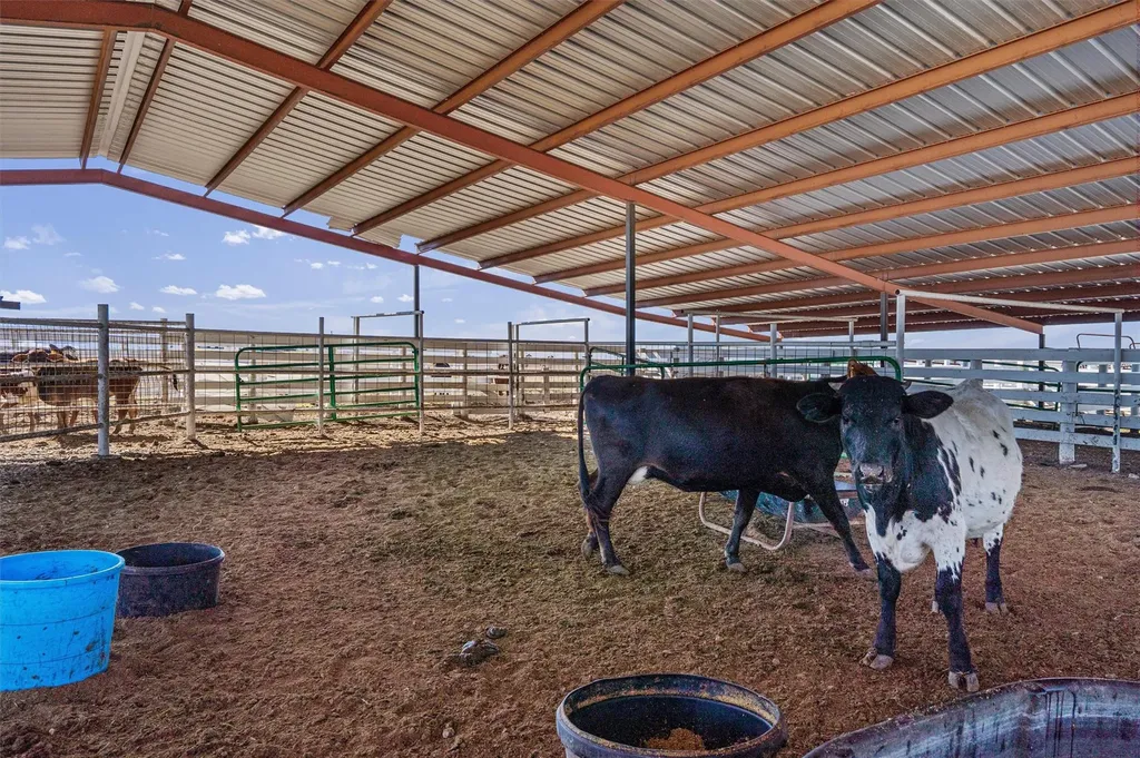 5300A County Road 424 Taylor TX 76574