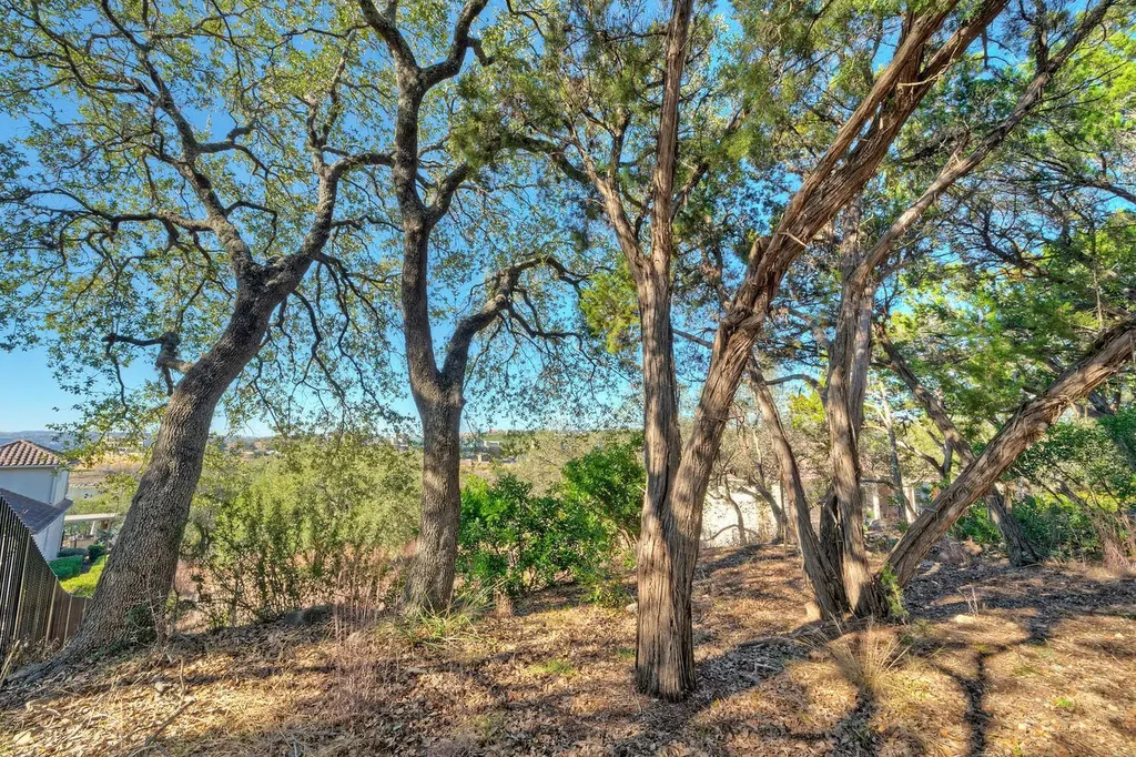1311 Osprey Ridge Loop Lago Vista TX 78645