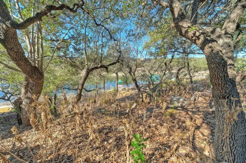 1311 Osprey Ridge Loop Lago Vista TX 78645