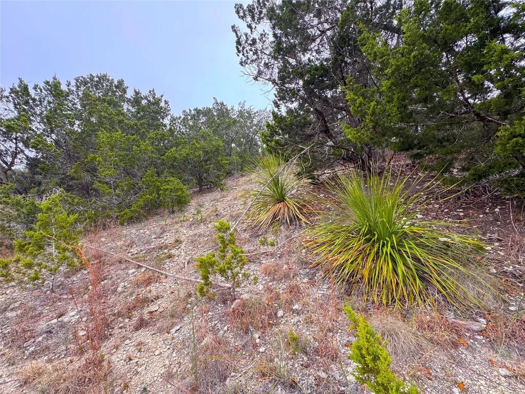 615 Caballo Trail Canyon Lake TX 78133