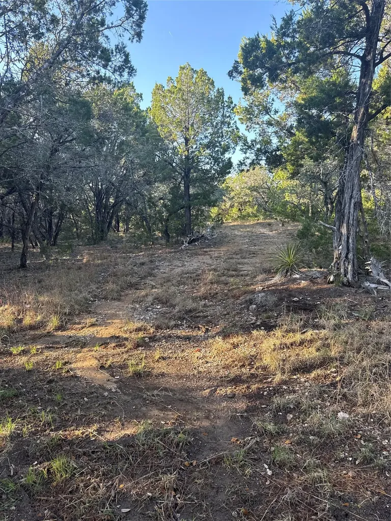 3600 Stagecoach Ranch Loop Dripping Springs TX 78620