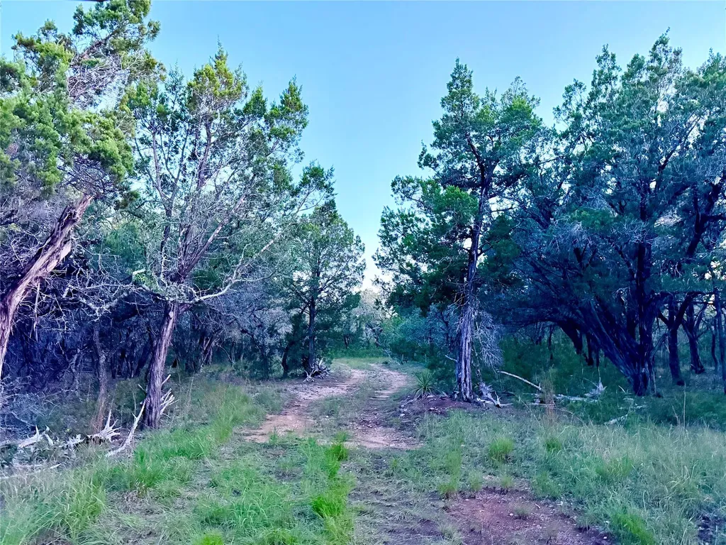 3600 Stagecoach Ranch Loop Dripping Springs TX 78620