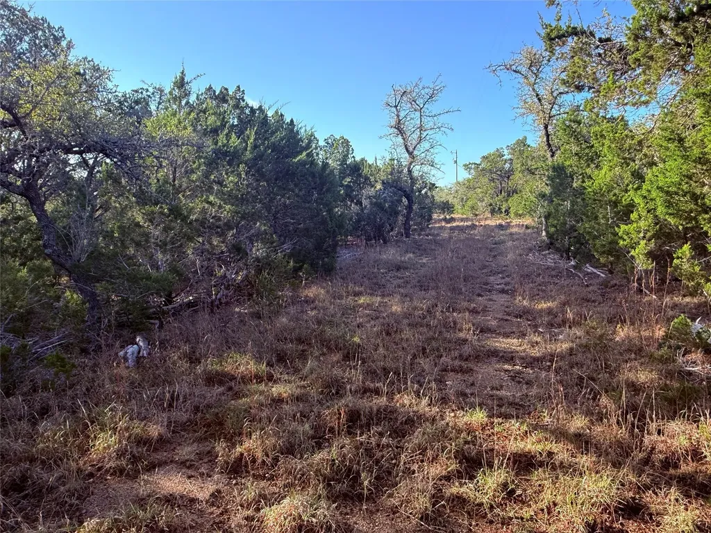 3600 Stagecoach Ranch Loop Dripping Springs TX 78620