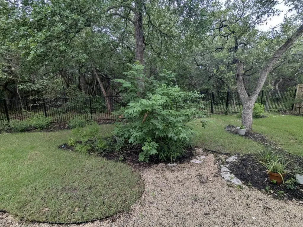 11009 Cherisse Drive Austin TX 78739