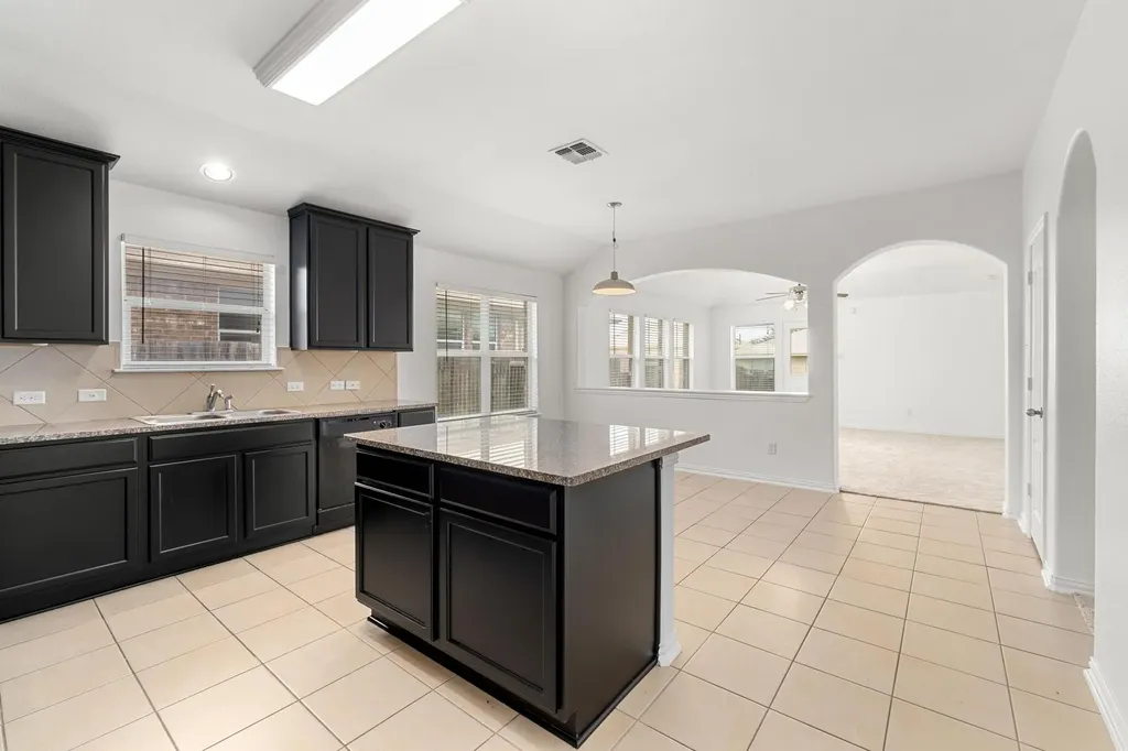 217 Strawberry Blonde Drive Buda TX 78610