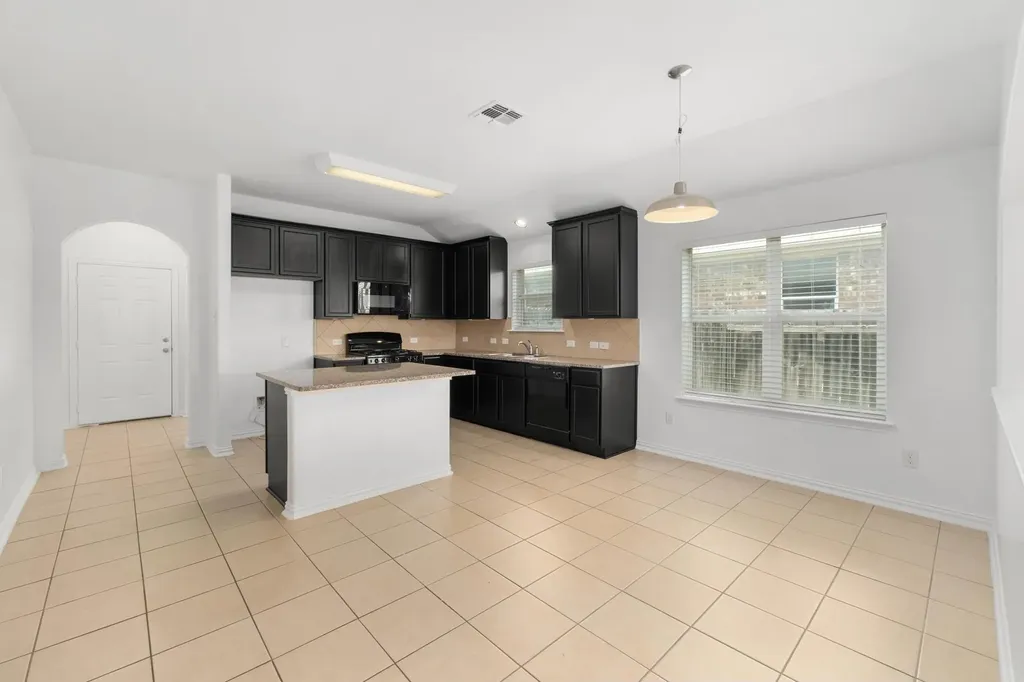 217 Strawberry Blonde Drive Buda TX 78610