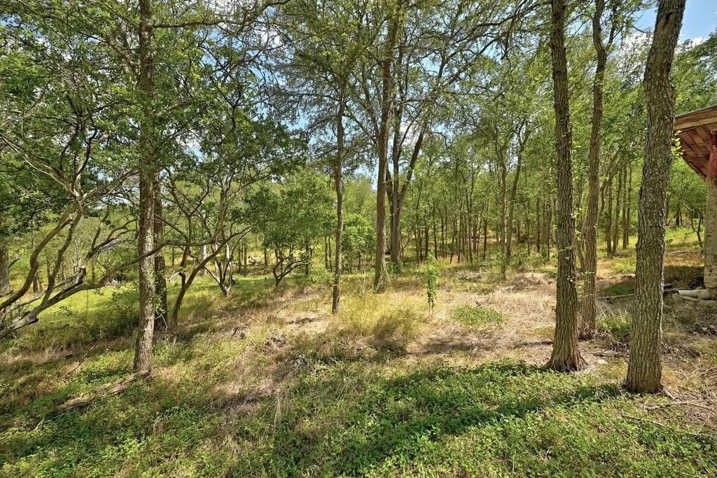7709 Timber Hills Drive Del Valle TX 78617