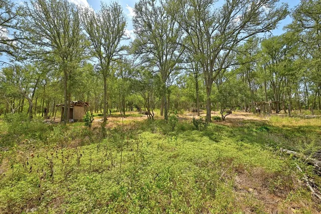 7709 Timber Hills Drive Del Valle TX 78617