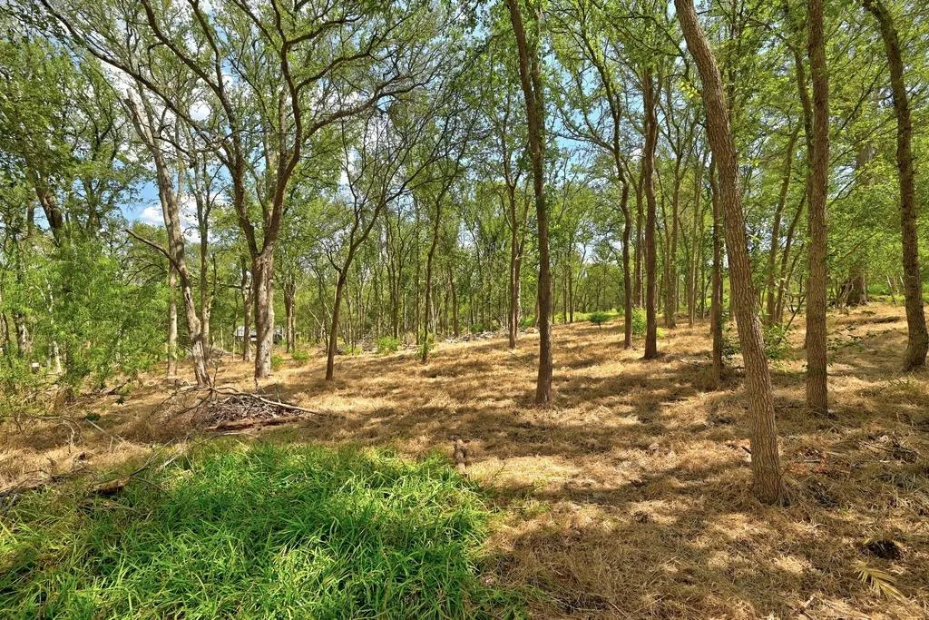 7709 Timber Hills Drive Del Valle TX 78617