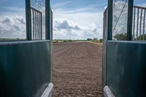 Tbd Highway 44 San Diego TX 78384