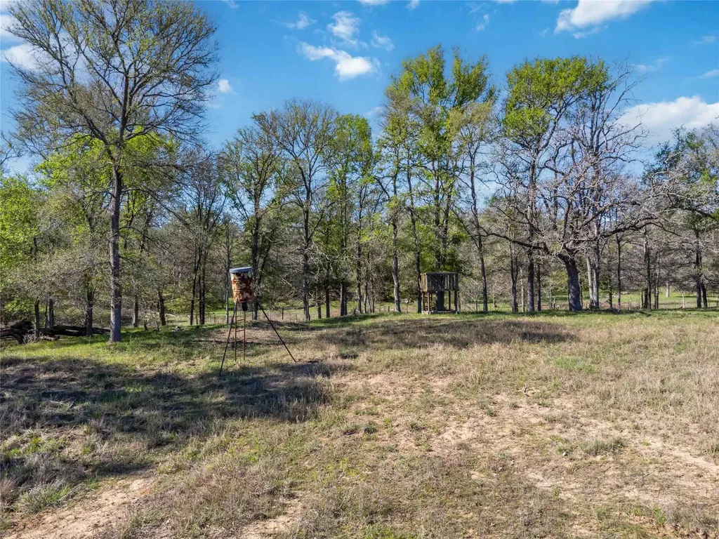 0000 Sandy Creek Road Red Rock TX 78662
