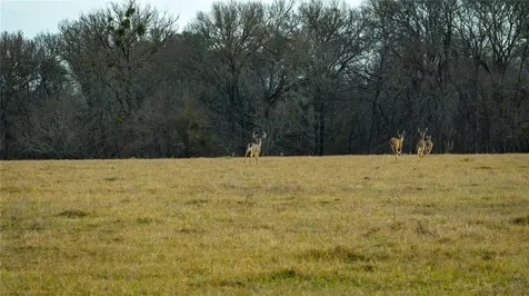 218 Brody Lane Bastrop TX 78602