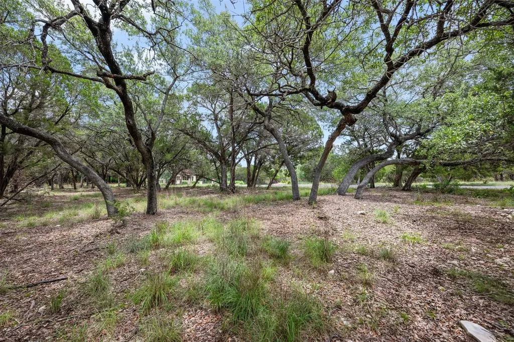 906 Moonlight Bay Drive Spicewood TX 78669