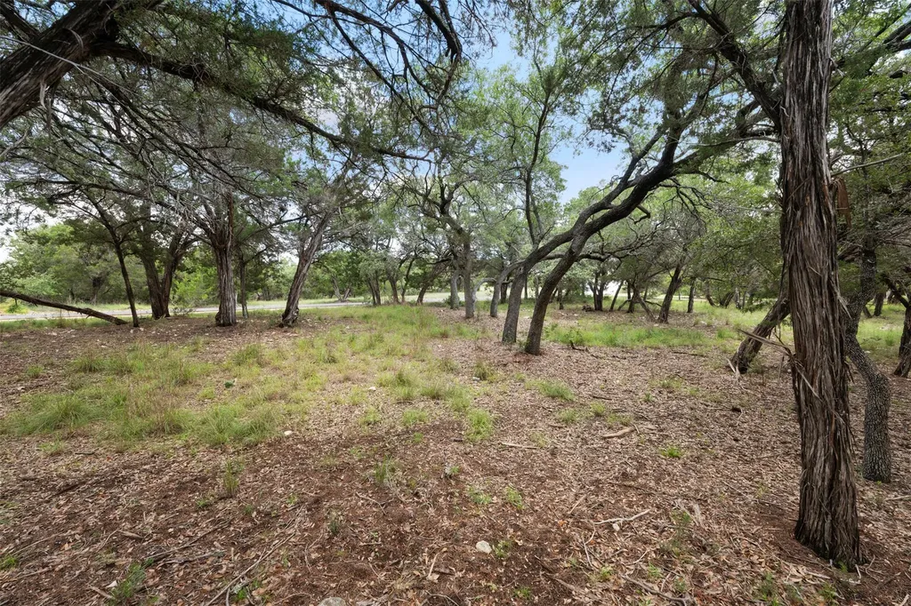 906 Moonlight Bay Drive Spicewood TX 78669