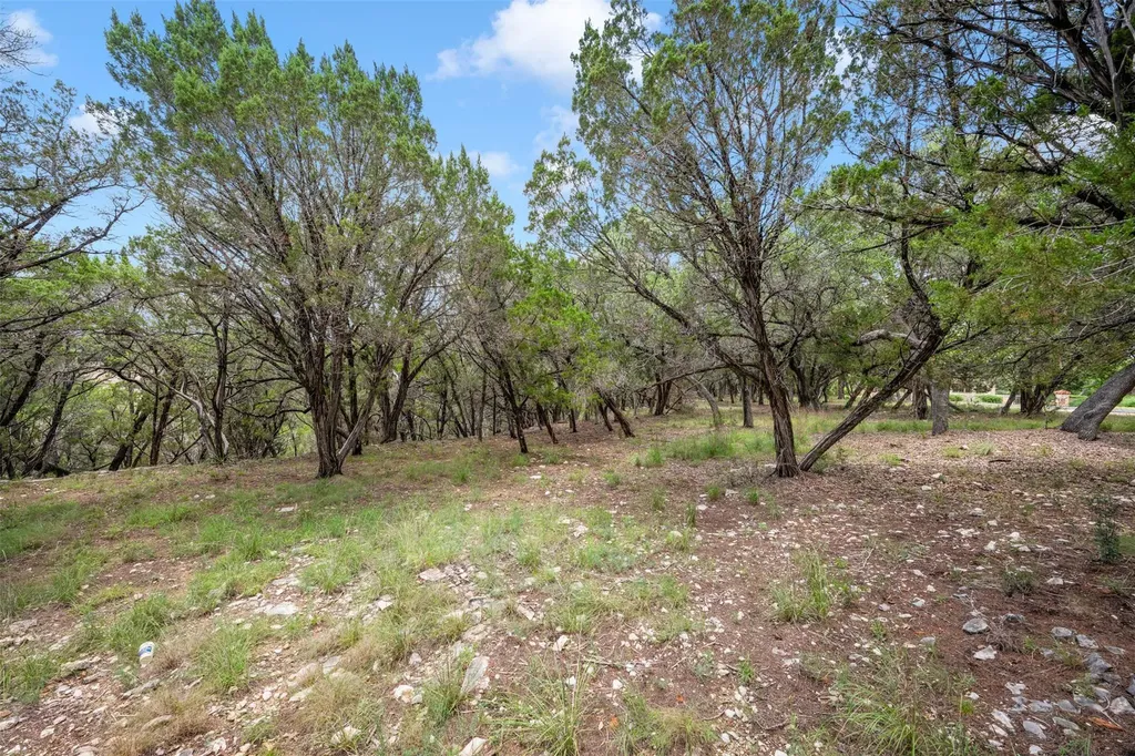 906 Moonlight Bay Drive Spicewood TX 78669