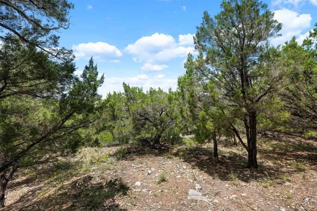 906 Moonlight Bay Drive Spicewood TX 78669