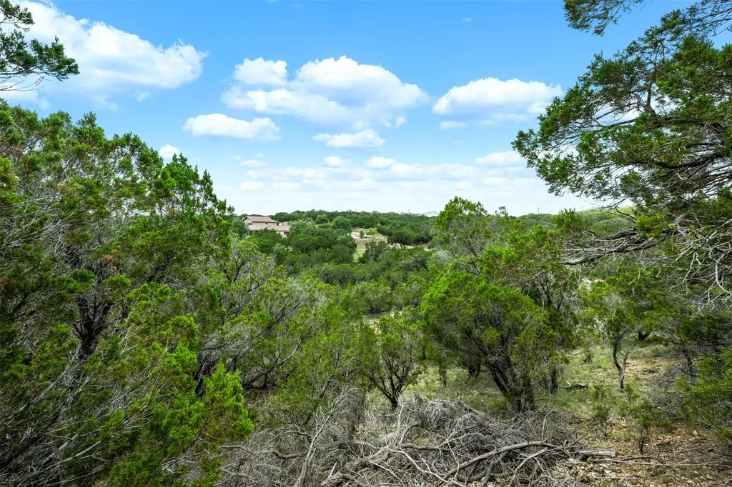 906 Moonlight Bay Drive Spicewood TX 78669