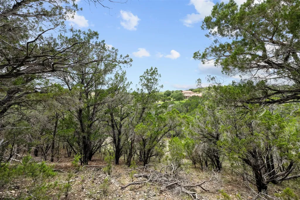 906 Moonlight Bay Drive Spicewood TX 78669