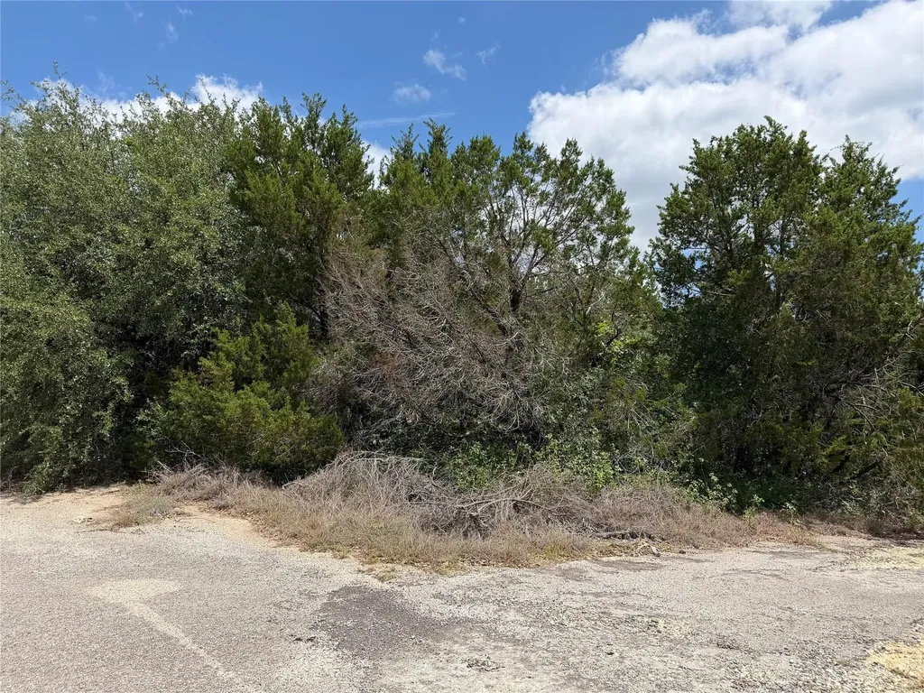 21104 Ringtail Cove Lago Vista TX 78645