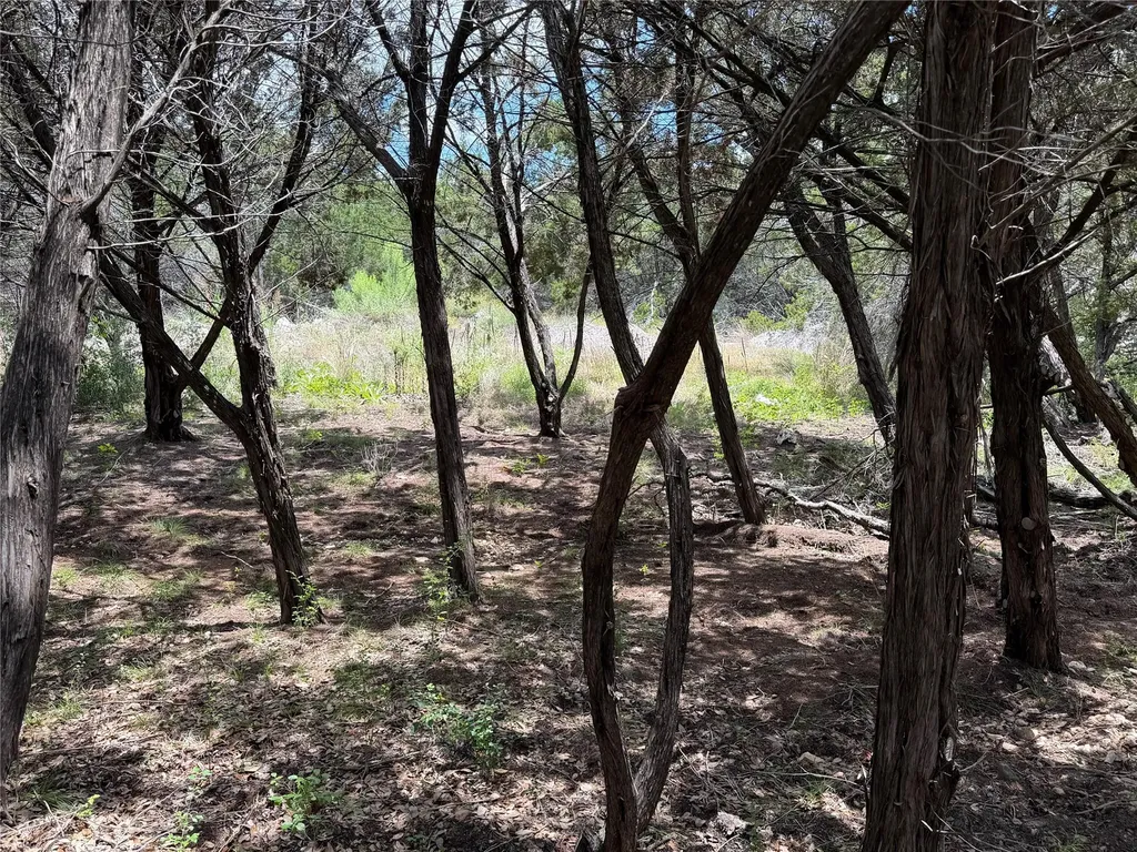 21104 Ringtail Cove Lago Vista TX 78645