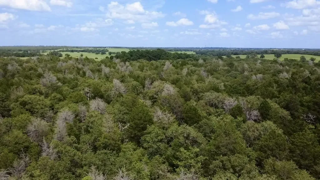 Tbd County Road 337 Lexington TX 78947