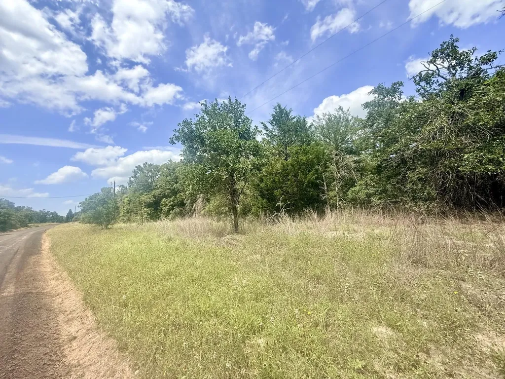 Tbd County Road 337 Lexington TX 78947