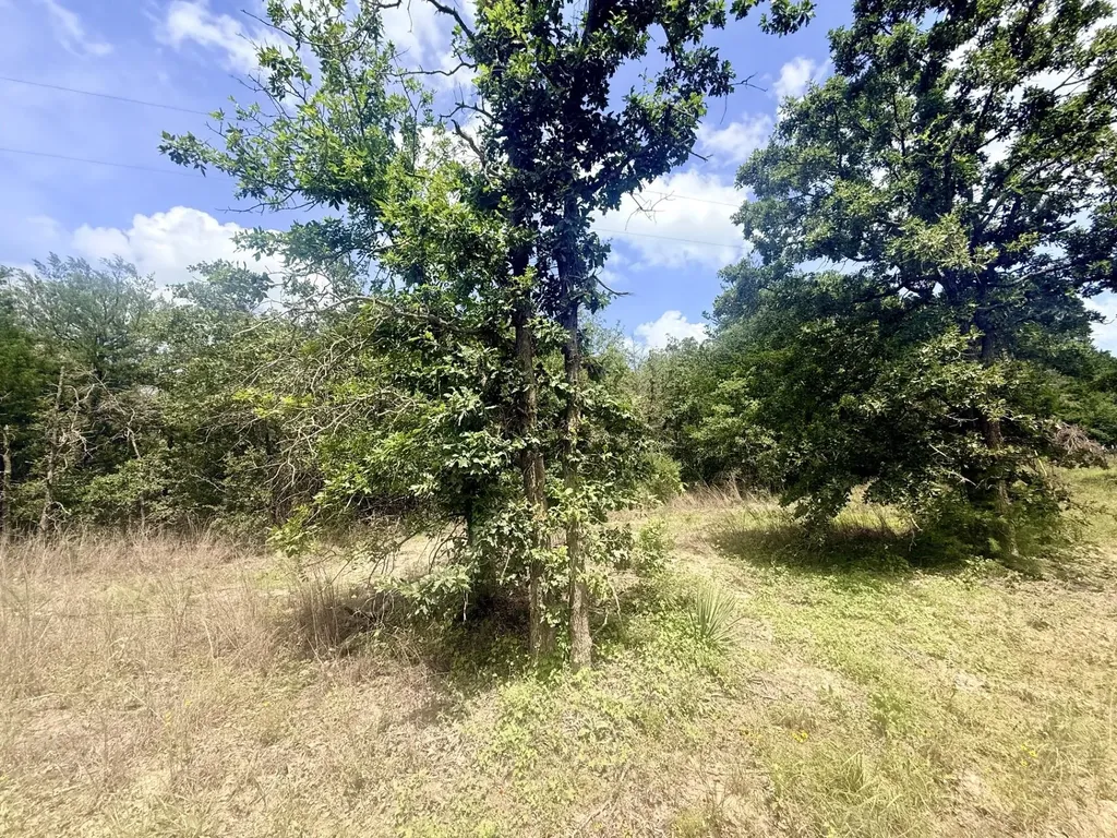 Tbd County Road 337 Lexington TX 78947