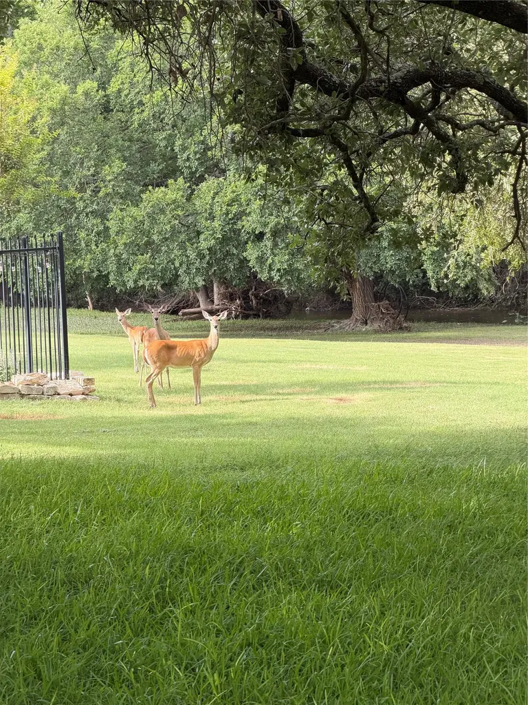 1208 Brushy Bend Drive Round Rock TX 78681