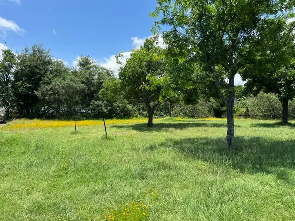 1715 Buckwheat Drive Tow TX 78672