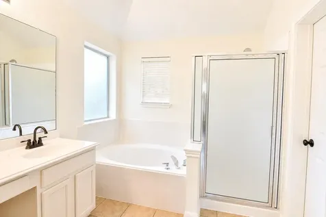 4205 Bent Wood Court Round Rock TX 78665