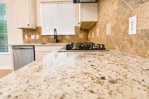 4205 Bent Wood Court Round Rock TX 78665