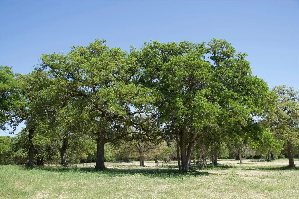 1035 Old Sayers Road Elgin TX 78621