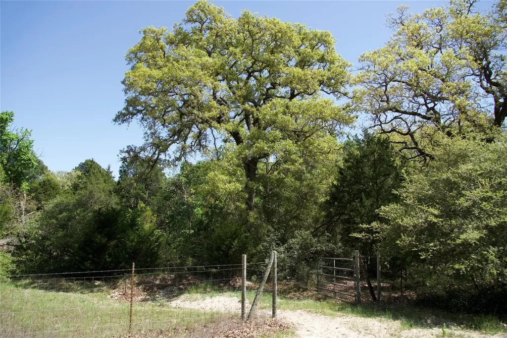 1035 Old Sayers Road Elgin TX 78621