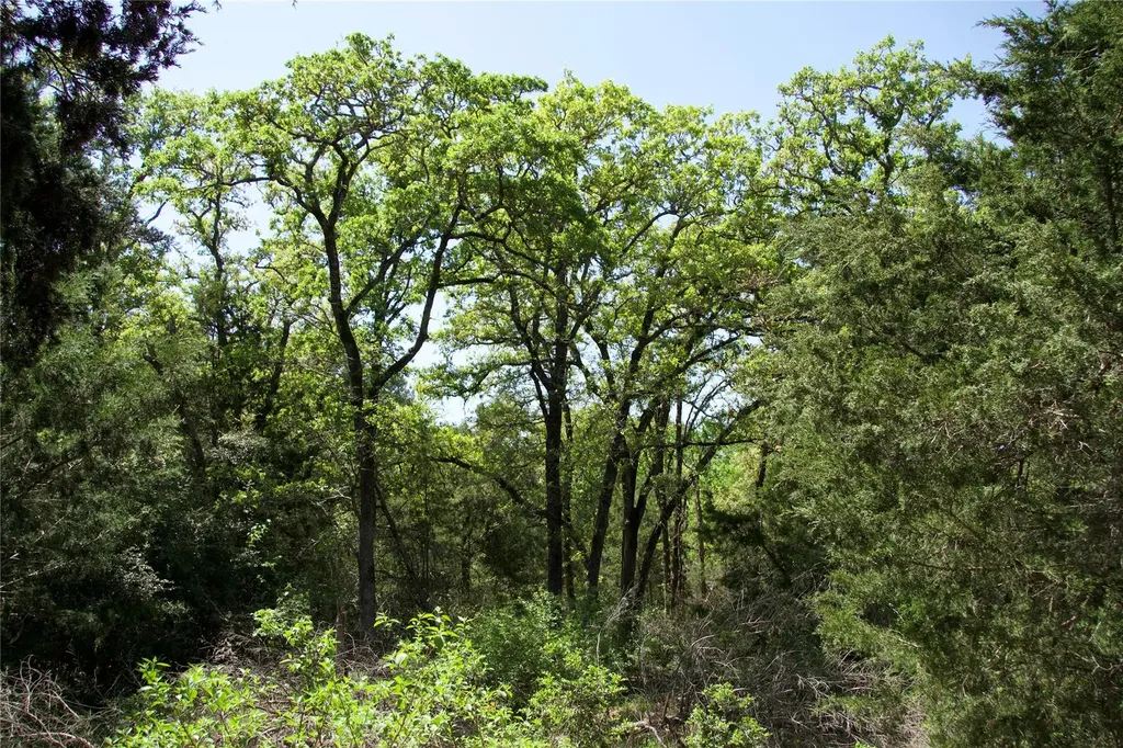 1035 Old Sayers Road Elgin TX 78621