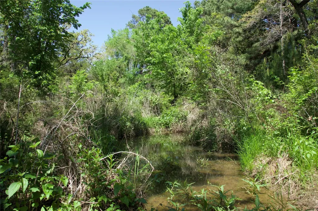 1035 Old Sayers Road Elgin TX 78621