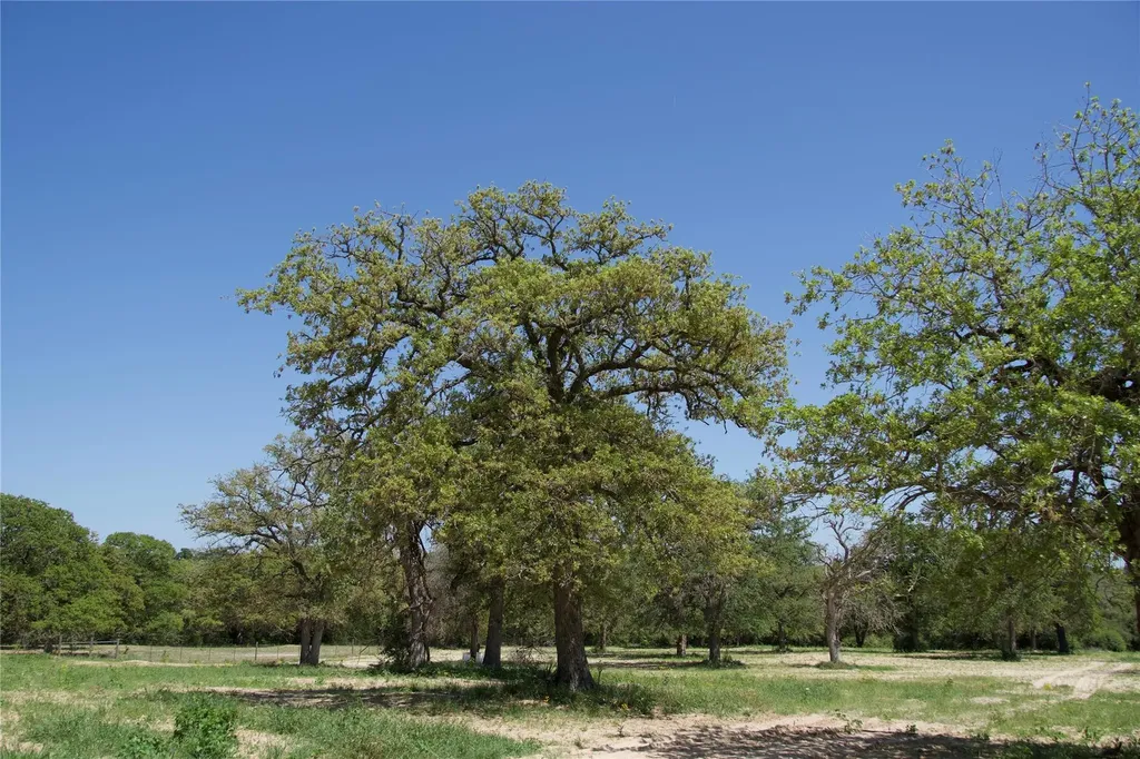 1035 Old Sayers Road Elgin TX 78621