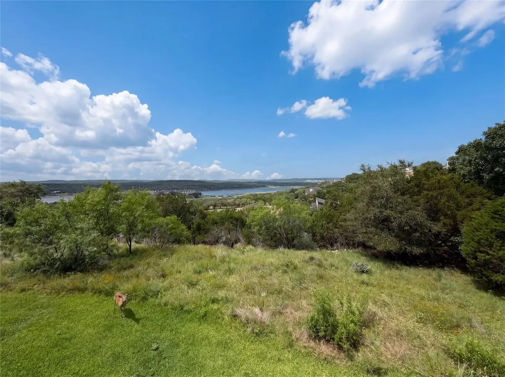 3216 Poe Cove Lago Vista TX 78645