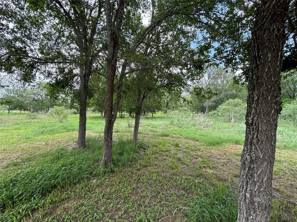916 Rolling Oaks Drive Luling TX 78648