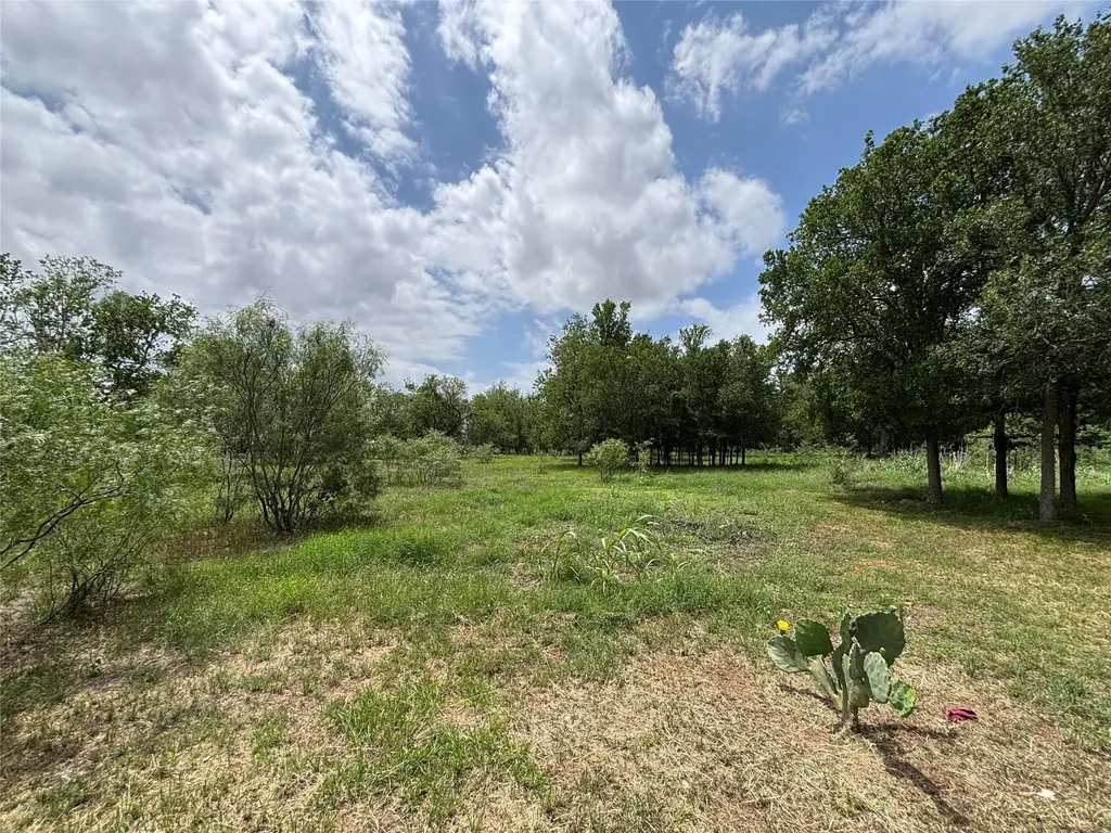 916 Rolling Oaks Drive Luling TX 78648