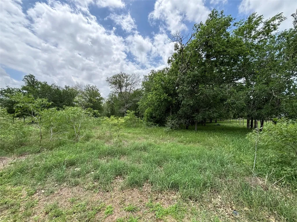 916 Rolling Oaks Drive Luling TX 78648