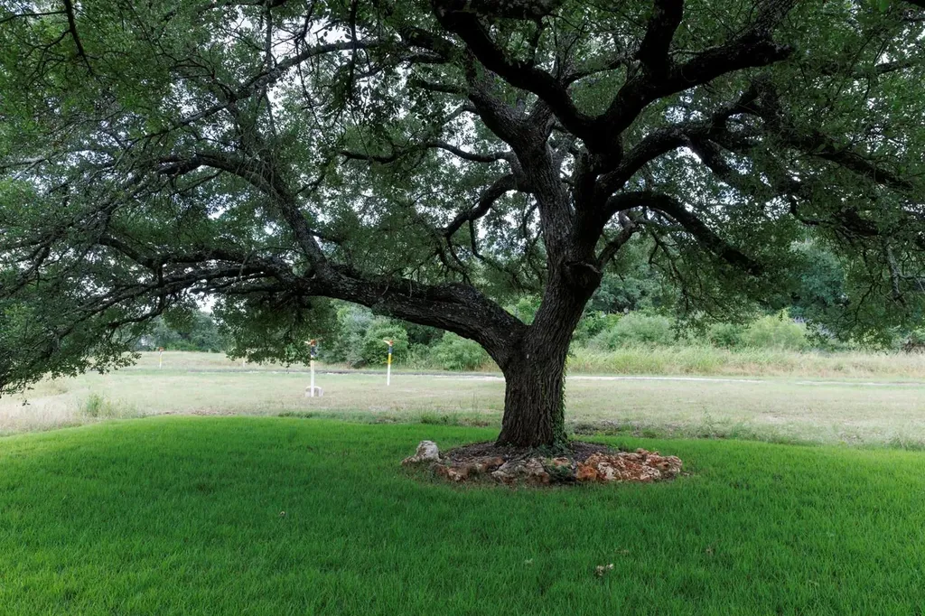 1005 Cimarron Hills Trail W Georgetown TX 78628