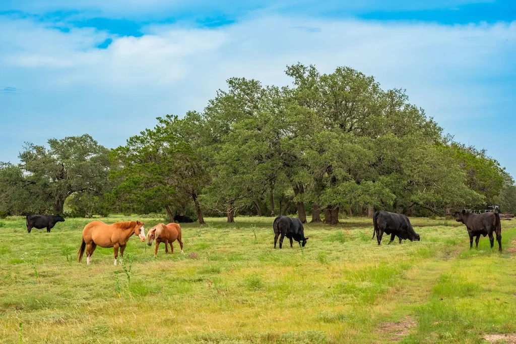 00 County Road 284 Liberty Hill TX 78642