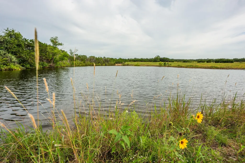 00 County Road 284 Liberty Hill TX 78642