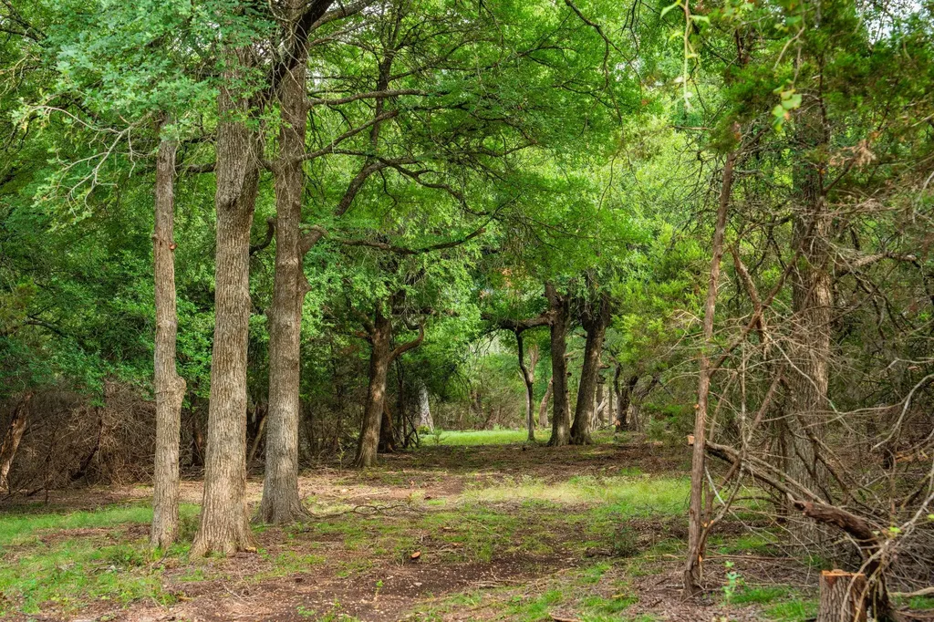 00 County Road 284 Liberty Hill TX 78642