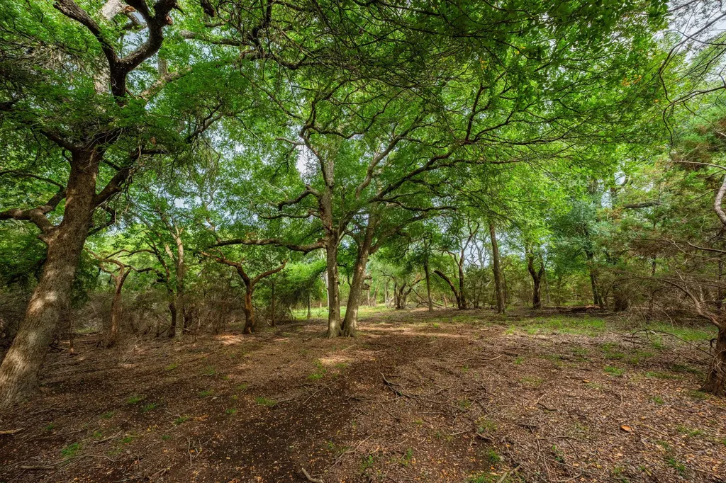 00 County Road 284 Liberty Hill TX 78642