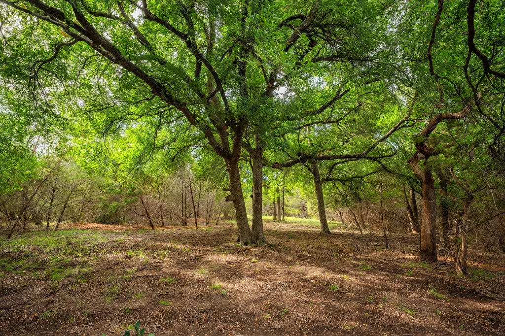 00 County Road 284 Liberty Hill TX 78642