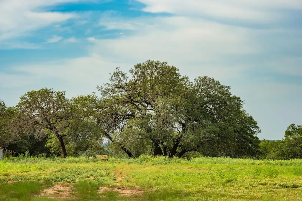 00 County Road 284 Liberty Hill TX 78642